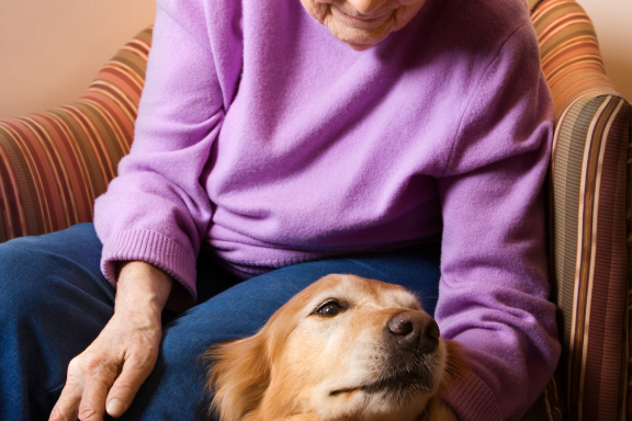 Haven Care Activities | Animal Therapy